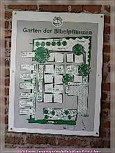 Der Bibelgarten